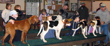 dogshowkids0204.jpg